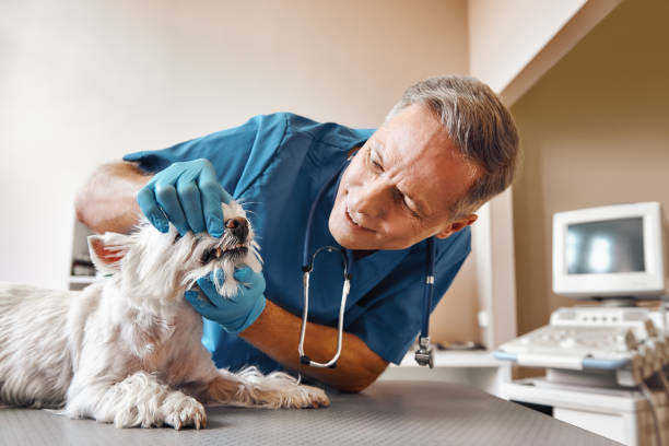 Best Emergency Root Canal Treatment in Fordoche, LA